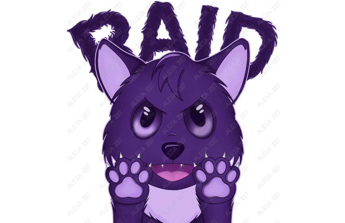 Raid